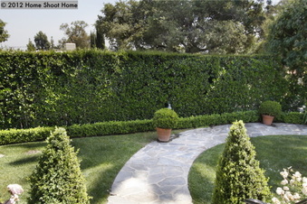 Enlarge photo 45