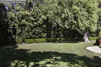 Enlarge photo 50