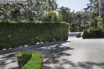 Enlarge photo 63