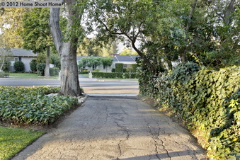Enlarge photo 73