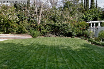 Enlarge photo 49
