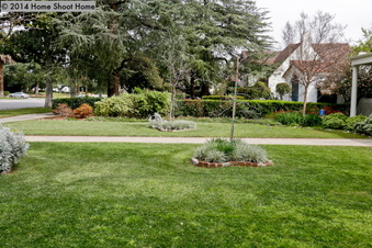 Enlarge photo 64