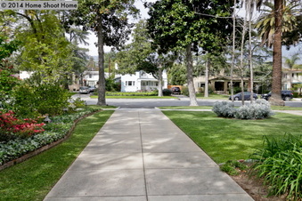 Enlarge photo 67