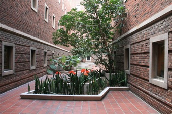 Enlarge photo 15
