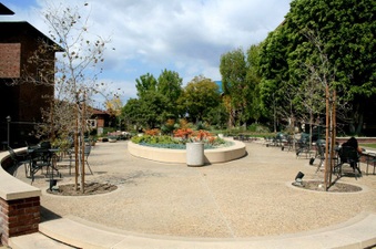 Enlarge photo 82