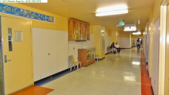 Enlarge photo 60