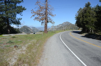 Enlarge photo 2