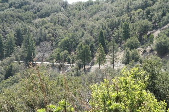 Red Box Rd
