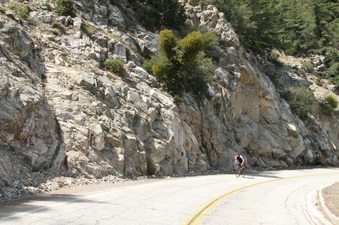 Enlarge photo 13