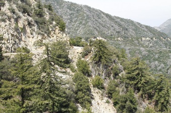 Enlarge photo 18