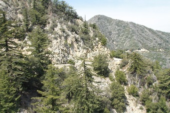 Enlarge photo 19