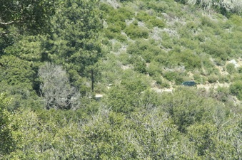 Enlarge photo 27