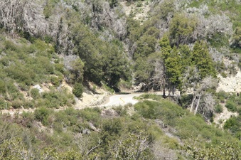 Enlarge photo 28