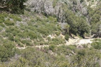 Enlarge photo 29