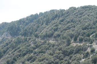 Enlarge photo 30