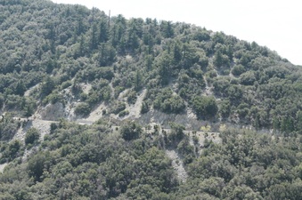 Enlarge photo 31