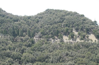 Enlarge photo 32