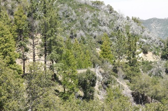 Enlarge photo 36
