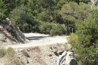 Enlarge photo 42