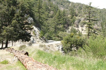 Enlarge photo 43