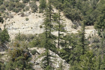 Enlarge photo 44