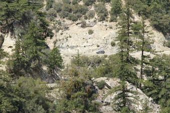 Enlarge photo 45