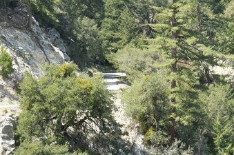 Enlarge photo 46