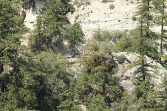 Enlarge photo 47