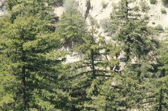 Enlarge photo 48