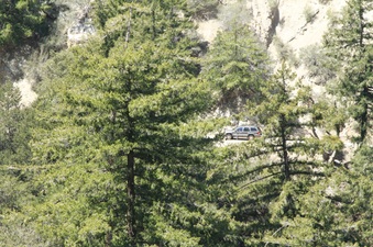 Enlarge photo 49