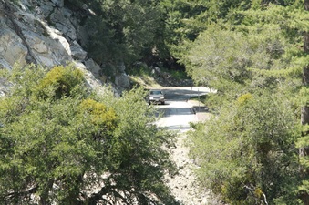 Enlarge photo 50