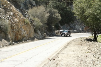 Enlarge photo 52