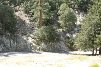 Enlarge photo 54