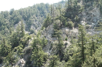 Enlarge photo 56