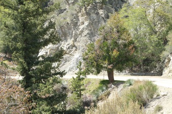 Enlarge photo 57