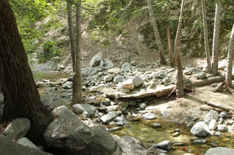 Enlarge photo 10