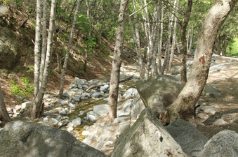 Enlarge photo 11