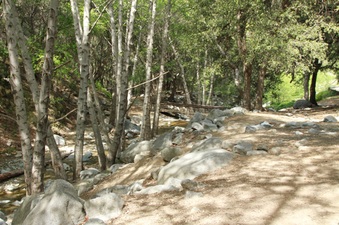 Enlarge photo 14