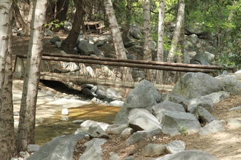 Enlarge photo 15