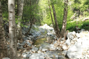 Enlarge photo 20