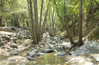 Enlarge photo 21