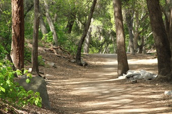 Enlarge photo 23