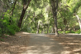 Enlarge photo 24