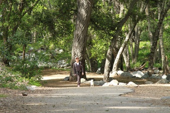 Enlarge photo 25