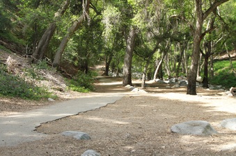 Enlarge photo 26