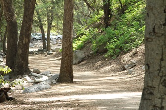 Enlarge photo 28