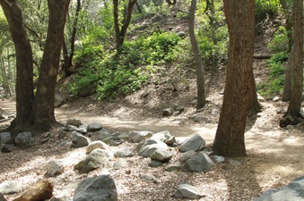 Enlarge photo 29