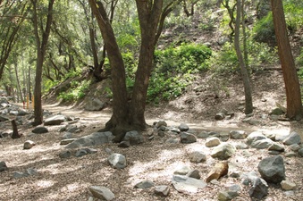 Enlarge photo 30
