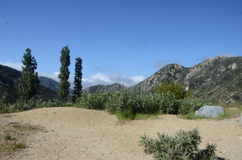 Enlarge photo 18
