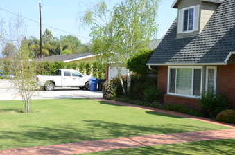Enlarge photo 8